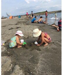 フッツ海岸 | その他