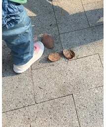 ZARA KIDS | スニーカー