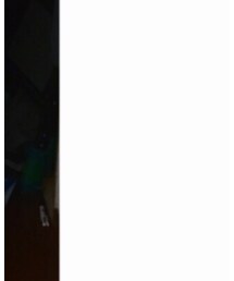 no brand | ジャケット/アウター