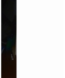 ZARA | スラックス