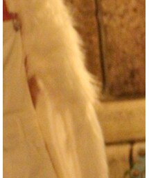 no brand | その他アウター