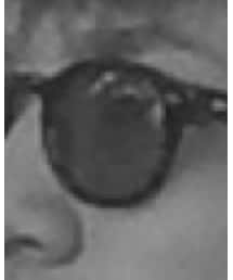 MOSCOT | サングラス