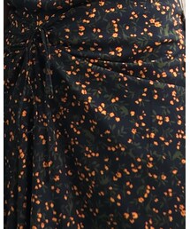 🌿🦒🦏🐎🦌🐘🏵 | 隠れてる!(その他)