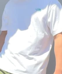 THE NORTH FACE | Tシャツ/カットソー