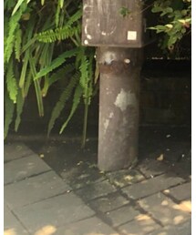 MASTER&Co | Tシャツ/カットソー