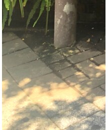 birthdaybash | サンダル