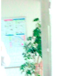 SPINNS | ニット/セーター