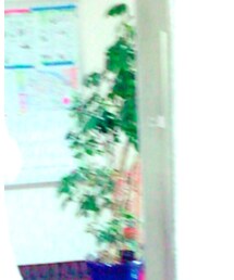 Bershka | デニムパンツ