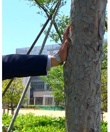 SEIKO | アナログ腕時計