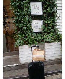 なんだかんだミーハー | その他