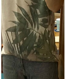 ZARA | Tシャツ/カットソー