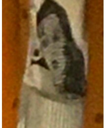 C.E | スウェット