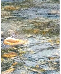 飛騨ふるさと村 | その他