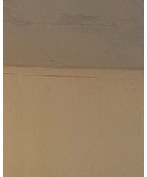 URBAN OUTFITTERS | 帽子