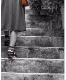 靴下屋 | ソックス/靴下