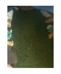 西松屋 | レギンス/スパッツ