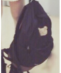 Dickies | バックパック/リュック