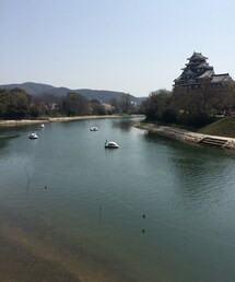 岡山城 | 福袋/福箱