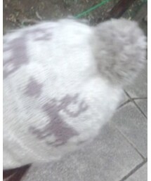 phenix | ニットキャップ/ビーニー