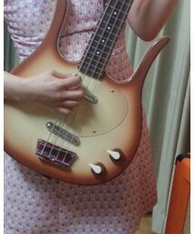 DANELECTRO | その他