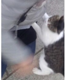 no brand | スカート