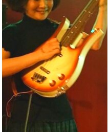 Danelectro | その他