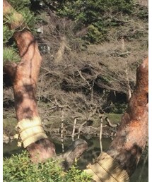 八芳園 | その他