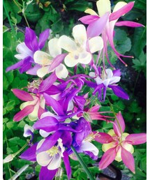 🌟朝の🌷 | その他