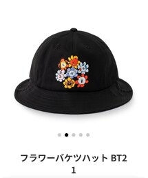 BT21 | ハット