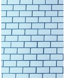 Ray Adakai | リング