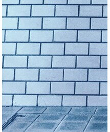 CORGI | ソックス/靴下