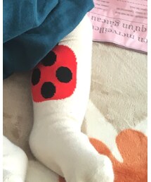 韓国子供服 | タイツ/ストッキング