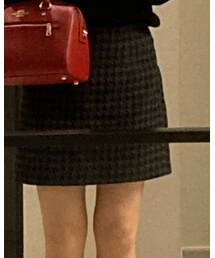 E hyphen world gallery | スカート