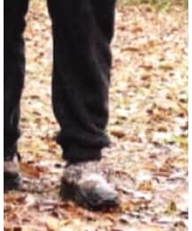 WORKMAN | その他シューズ