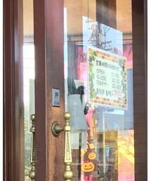 GU | ナイロンジャケット