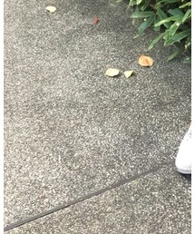 Timberland | スニーカー