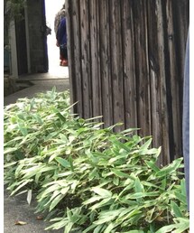 H&M | カバーオール