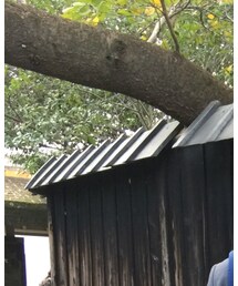 no brand | キャップ