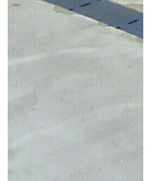 summer sonic | その他