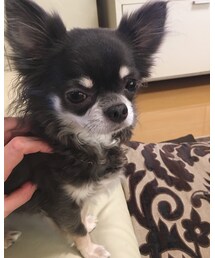 ヘアアレンジ難しい😅 | その他