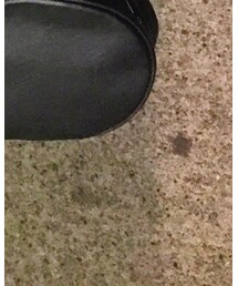 ZARA | ショルダーバッグ