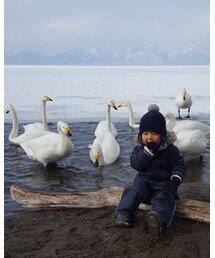 白鳥🐥見に行ってきた❗ | その他