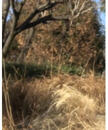 Toironier | パンツ