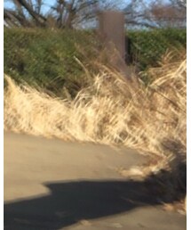 POLO RALPH LAUREN | ジャケット/アウター