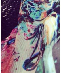 lilith art duct | シャツ/ブラウス