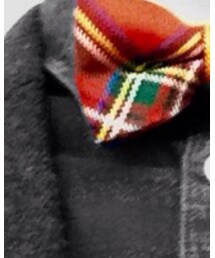 used | 蝶ネクタイ