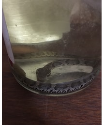 飲み物とは思えないほど強烈な異臭 | 香水