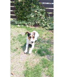 ルーシー・ダイヤモンド(JRT)(チャーム)