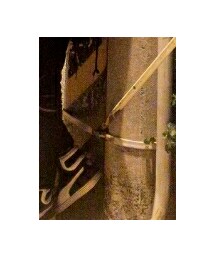 PUMA | スニーカー