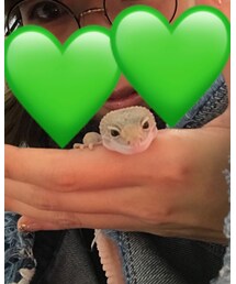 💚 | 福袋/福箱